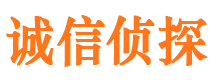 西安市调查公司